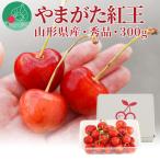 ふるさと納税 山形県 さくらんぼ やまがた紅王 300g 3L玉以上 大粒 秀品 バラ詰め 山形県産 化粧箱入り