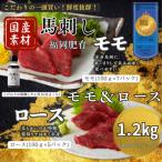 ふるさと納税 久留米市 新鮮 国産馬刺し(モモ・ロース)【100g×12パック】馬刺しタレ【あまくち】付き(福岡県産)