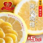 ふるさと納税 八幡浜�