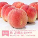 ふるさと納税 村山市 令和7年産(2025年産)白桃 品種おまかせ ◯秀品以上 5kg