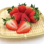 美味しい時期の産いちごさん 2パック