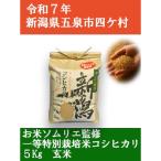 ふるさと納税 五泉市 R