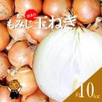 ふるさと納税 松山市 もみじ玉ねぎ10kg 訳あり