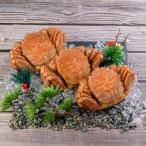 ふるさと納税 森町 【訳あり】北海道産冷凍ボイル毛ガニ(約250g前後〜約300g前後×3尾)