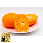 ショッピング甘平 ふるさと納税 今治市 【さとふる限定】甘平(家庭用)