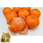 しまなみ温州みかん小玉約5kg