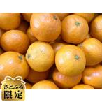 宗方印 温州みかん 約5kg