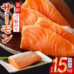 ふるさと納税 泉佐野市 サーモンポーション刺身用 1.5kg(小分け)【訳あり・サイズ不揃い】 015B499