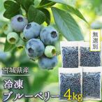 fu.... налог . рис город есть перевод нет выбор другой рефрижератор голубика 4kg