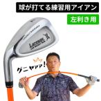 東 GNYA練習用 アイアン 1本