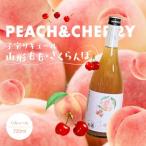 ふるさと納税 酒田市 酒田の酒屋厳選 子宝リキュール 山形もも・さくらんぼ 720ml×1本