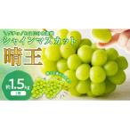 ショッピングふるさと納税 シャインマスカット ふるさと納税 備前市 【2026年発送分 先行受付】岡山県産シャインマスカット「晴王」 秀品 約1.5kg(2房)