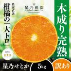 ショッピングさとふる ふるさと納税 八幡浜市 【訳あり】星乃せとか 柑橘の大トロ(5kg)【C45-97】