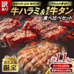 ふるさと納税 京丹後市 【さとふる限定】訳あり 牛ハラミ(サガリ)秘伝のタレ 味付け肉&やわらか厚切り 塩だれ牛タン食べ比べ