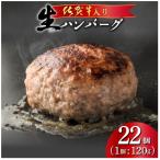 ふるさと納税 上峰町 佐賀牛入り　生ハンバーグ(22個入り)(上峰町)