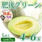 ふるさと納税 菊池市 肥後グリーンメロン L以上 4〜6玉(約7kg)(菊池市)