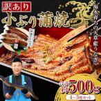 ふるさと納税 上天草市 【訳あり】【プロが愛用】海水育ちの天草 藍うなぎ蒲焼 500g(4〜5尾)