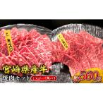 ふるさと納税 えびの市 宮崎県産 黒牛 焼肉セット ミスジ 三角バラ 2点盛り 560g(280g×2パック)
