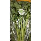 ふるさと納税 秦野市 ええ?大飢饉を救った?【春を告げる野菜】のらぼう菜　1200g