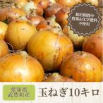 ショッピングふるさと納税 玉ねぎ ふるさと納税 武豊町 【4月上旬から順次発送】玉ねぎ10kg　栽培期間中化学肥料/農薬不使用