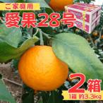 訳あり 愛果28号 約3.3kg×2箱