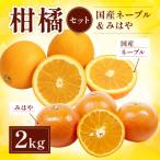柑橘セット ネーブル&amp;みはや 約2kg