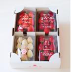 ふるさと納税 佐野市 【春イチゴ】栃木いちご4種詰め合わせセット(260g×4パック)