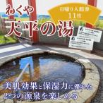 日帰り温泉 入館回数券 11回分