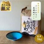 特別栽培米 コシヒカリ 5kg