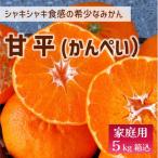 ふるさと納税 伊予市 【先行予約 2月発送予定】数量限定 家庭用 甘平(かんぺい) 約5kg
