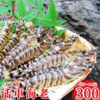 fu.... налог сверху небо . город предшествующий предварительный заказ! время ограничено![ сверху небо . бренд засвидетельствование товар ]. машина море .300g(9~14 хвост )[ Fuji oka]