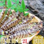 fu.... налог сверху небо . город предшествующий предварительный заказ! время ограничено![ сверху небо . бренд засвидетельствование товар ]. машина море .2L 500g(12~14 хвост )[ Fuji oka]