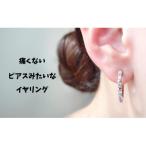 Degodd デゴッド 落ちないイヤリング
