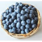 fu.... налог север . город 2026 год 7 месяц ~9 месяц первая декада отправка предположительно! сельское хозяйство дом . магазин. высшее . голубика средний шарик 500g(250g×2 упаковка )