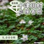 十津川村への寄付（返礼品なし）