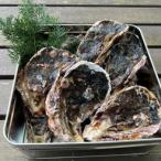 fu.... налог столица . после город Kyoto * столица . после производство свежесть выдающийся!. толщина мясо толщина скала ..( сырой еда для ) примерно 5kg( примерно 10 шт )[.... ввод * нож имеется ]