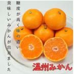 ふるさと納税 八幡浜市 愛媛県八幡浜産 極甘みかん 小玉 10kg【G96-6】