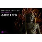 TanaCOCORO 不動明王立像