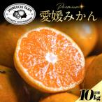 ふるさと納税 八幡浜市 老舗農家が見極めたプレミアム【小玉】愛媛みかん10kg【愛媛県川上産】【E70-93】