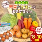 大村産とれたて野菜とたまごのおまかせセット