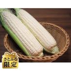 ショッピングさとふる ふるさと納税 帯広市 【さとふる限定】【先行受付】甘さ旨みぎゅっと凝縮ホワイトコーン 計6kg