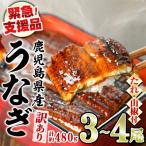 ふるさと納税 東串良町 【緊急支援品】《訳あり・数量限定》鰻の蒲焼き(無頭)(3〜4尾・計約480g) 【アクアおおすみ】