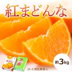 ふるさと納税 松山市 【2025年12月〜1月頃から発送予定】紅まどんな(JA正規化粧箱入り)約3kg