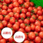 fu.... налог Matsue город . Цу помидор роза 1kg