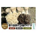 fu.... налог болото рисовое поле город зуб .....! аромат выдающийся 3 вид. .. .( вёшенка степная, чёрный Mai ., - navi latake). набор итого примерно 800g