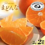 ふるさと納税 八幡浜市 【紅まどんなと同品種】老舗農家が見極めたプレミアム【まどんな 2kg×2箱】【F70-107】