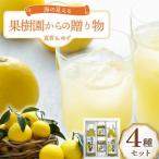 海の見える果樹園からの4種セット オレンジ