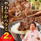 ショッピングさとふる ふるさと納税 泉佐野市 【さとふる限定】やわらかハラミ 2kg 氷温熟成×特製旨ダレ 小分け 4パック mrz0232