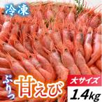 fu.... налог Hyogo префектура ...( большой размер ) примерно 1,400g натуральный * свежесть выдающийся![ вспененный коробка ] судно внутри рефрижератор 64 хвост 