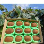 fu.... налог Kasukabe город [ разделение слово 12 шар ].. для средний коробка большой . сельское хозяйство .. киви фрукты 